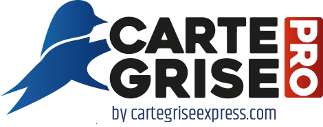 logo-carte-grise-pro[1]